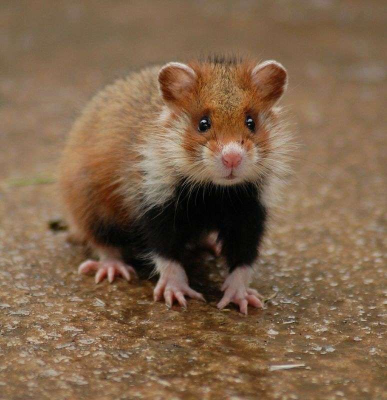 ������� ����� ���������� ��������� �� PhotoGeek.ru #�������� ��� #����� ��� ��� ���������