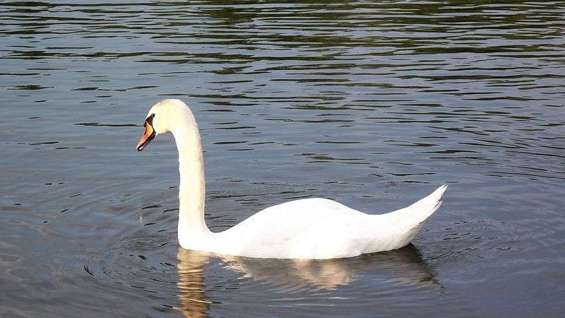 ��������.. ����� Roman Bakson �� PhotoGeek.ru #�������� ��� #�������