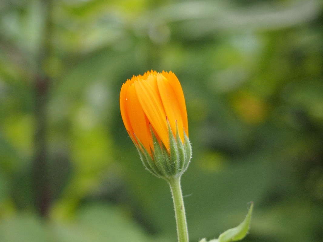 ... ����� �������  �� PhotoGeek.ru #����� #������ ��� ������� #����� ��������������