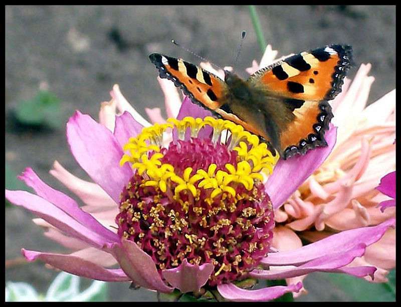 ���������..... ����� ��������  �� PhotoGeek.ru #����� #���������