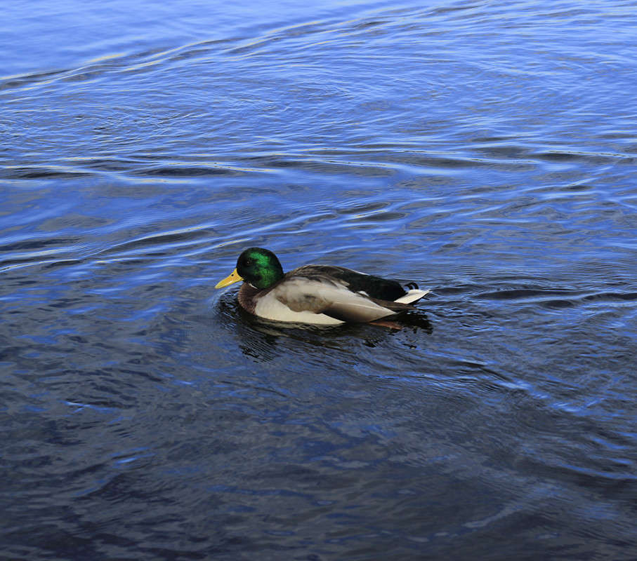 ��������. ����� ���� ������ �� PhotoGeek.ru #�������� ���