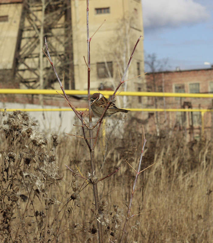 ��������� ����� ���� ������ �� PhotoGeek.ru #�������� ���