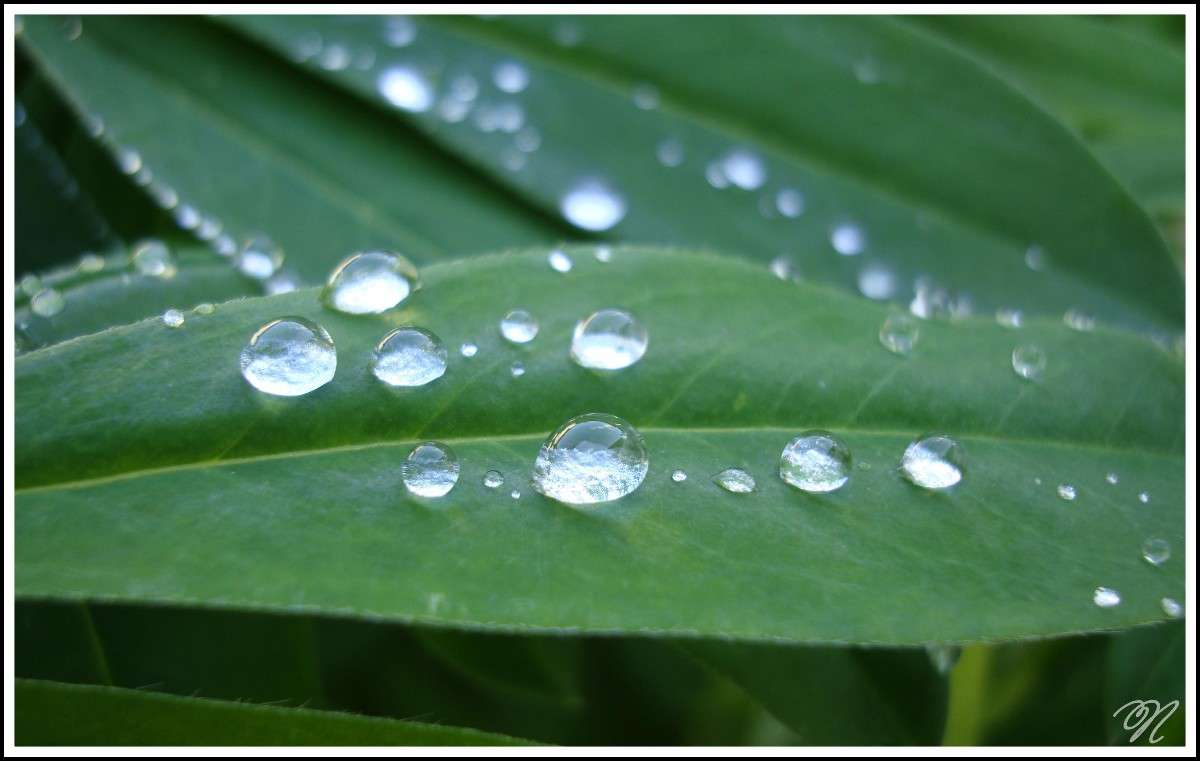 �������� ���� ����� Polina  �� PhotoGeek.ru #�����