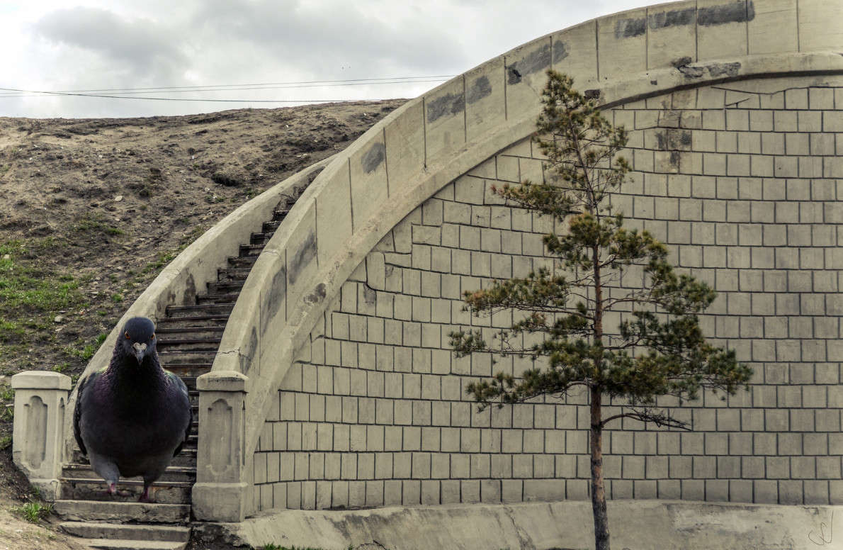 �� ��������� ����� ������ ����������� �� PhotoGeek.ru #����� #�������� ��� #�������� ���������� #����������� #������� #���-����������� #��������� ������ #����� ��� ��� ��������� #�������� #������������� #�����-��� #�����-����