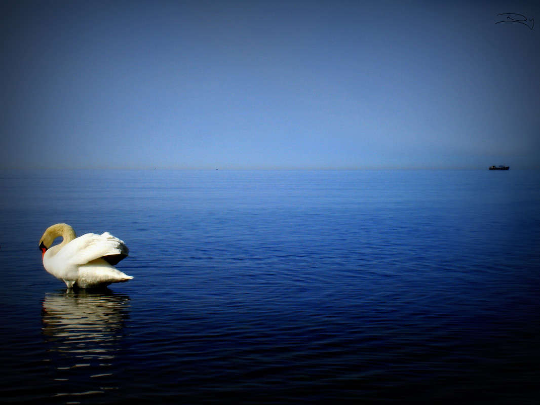 Lomography ����� ������ ����������� �� PhotoGeek.ru #�������� ��� #������ ��� ������� #�������� ���������� #����� ��� ��� ��������� #��������������� #������ #����� ��������