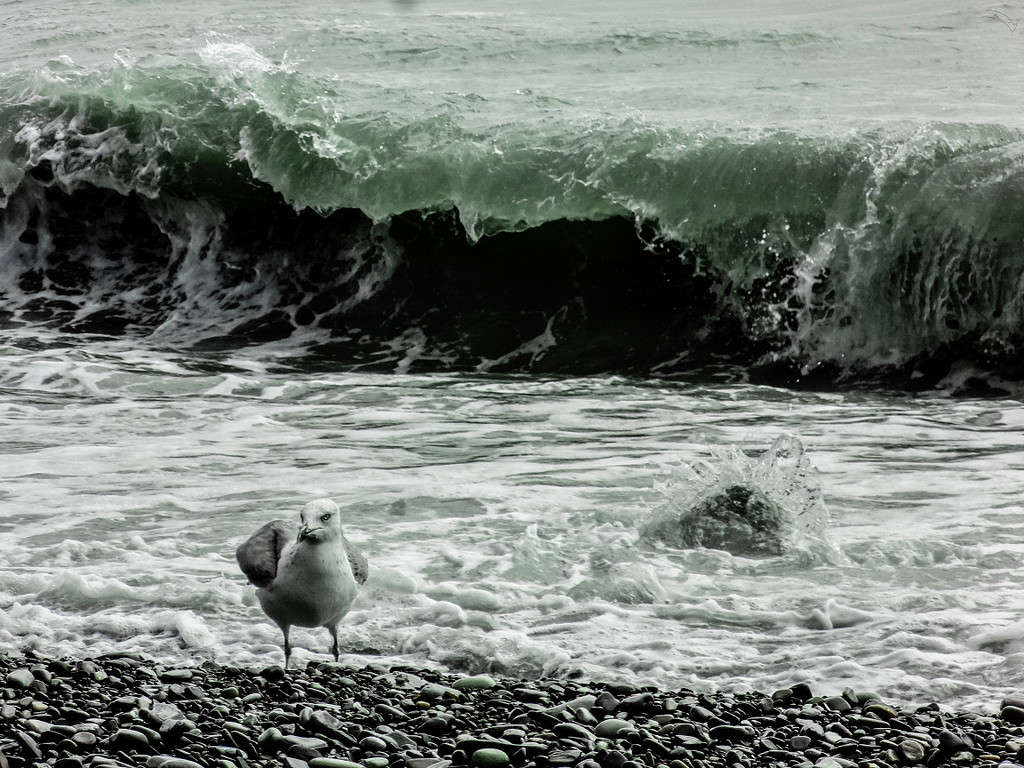 ������������� ����� ������ ����������� �� PhotoGeek.ru #�������� ��� #������ ��� ������� #�������� ���������� #����� ��� ��� ��������� #��������������� #������ #����� ��������