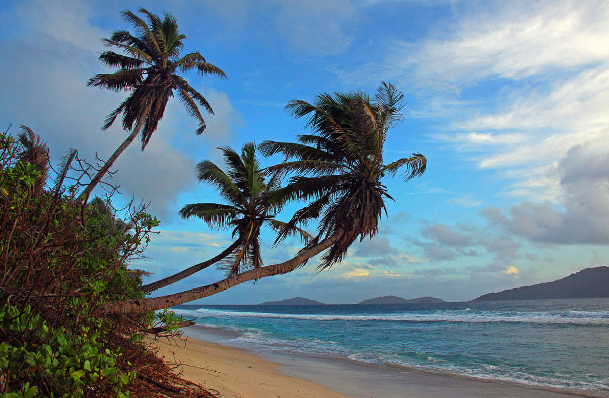 �������� ����� ����� ������ �������� �� PhotoGeek.ru #������ ��� �������