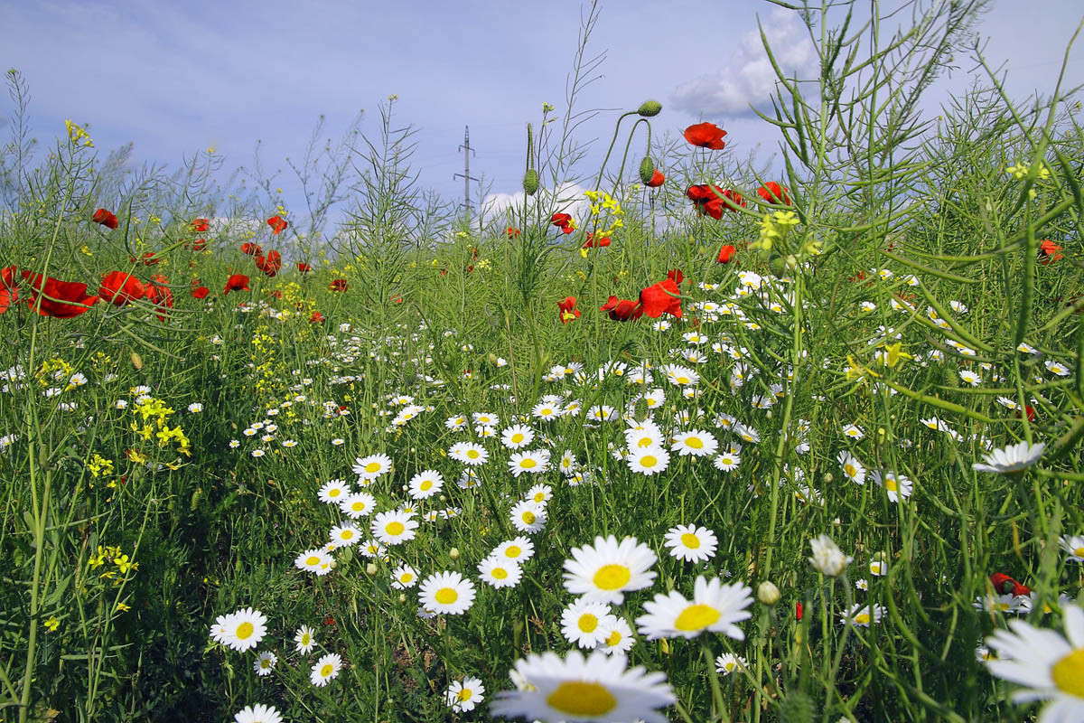 ������ ���� ����� ������ �������� �� PhotoGeek.ru #������ ��� ������� #����. ���� #�����