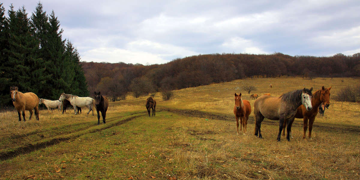 ������� ����� ������ �������� �� PhotoGeek.ru #�������� ��� #�������������� ����. ����. ������. ��������