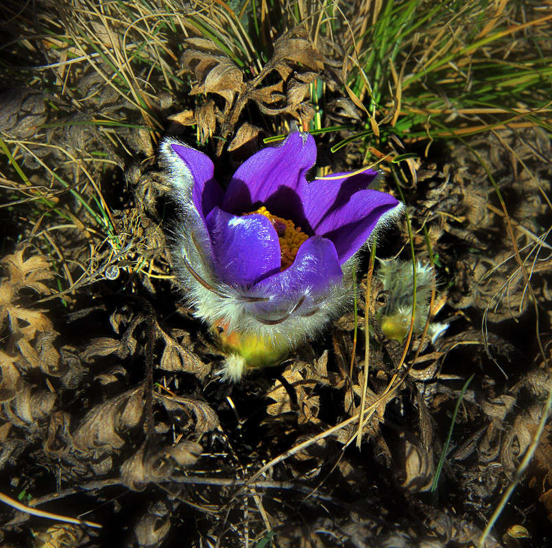 ������������� �� ������� ����� ������ �������� �� PhotoGeek.ru #������ ��� ������� #���� #�������� #�������� #����� #��������