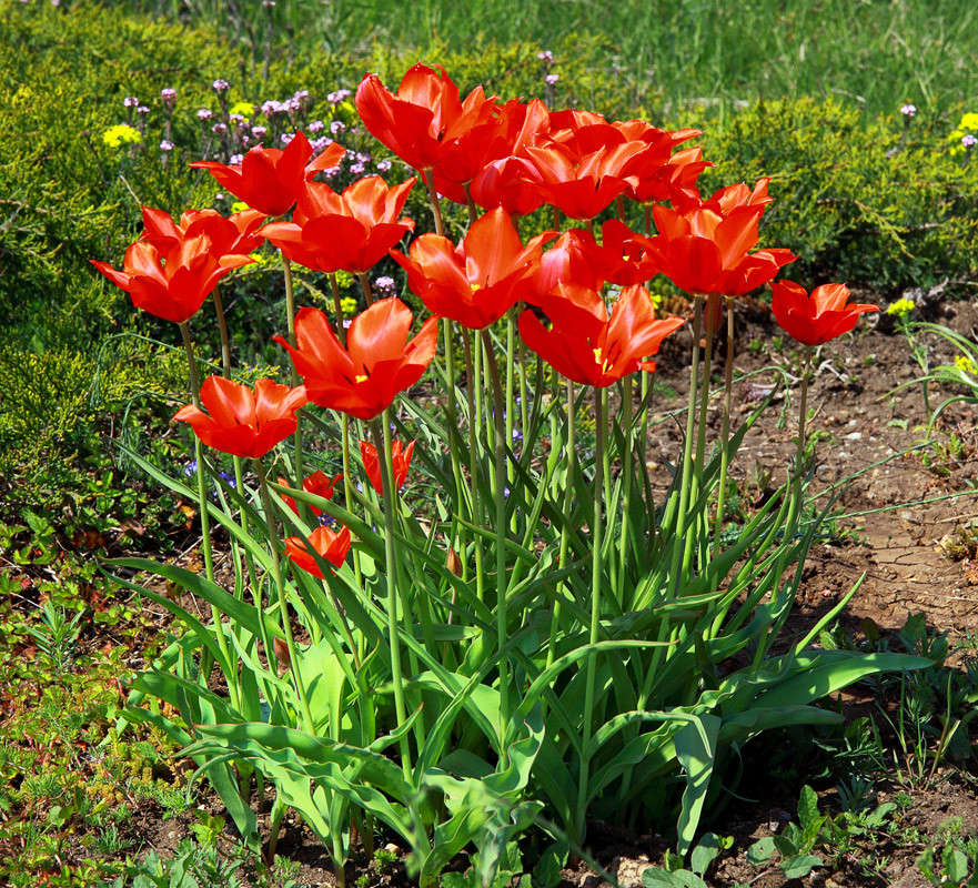 �������� ����� ������ �������� �� PhotoGeek.ru #������ ��� ������� #��������. ����. �����������. ������������ ���