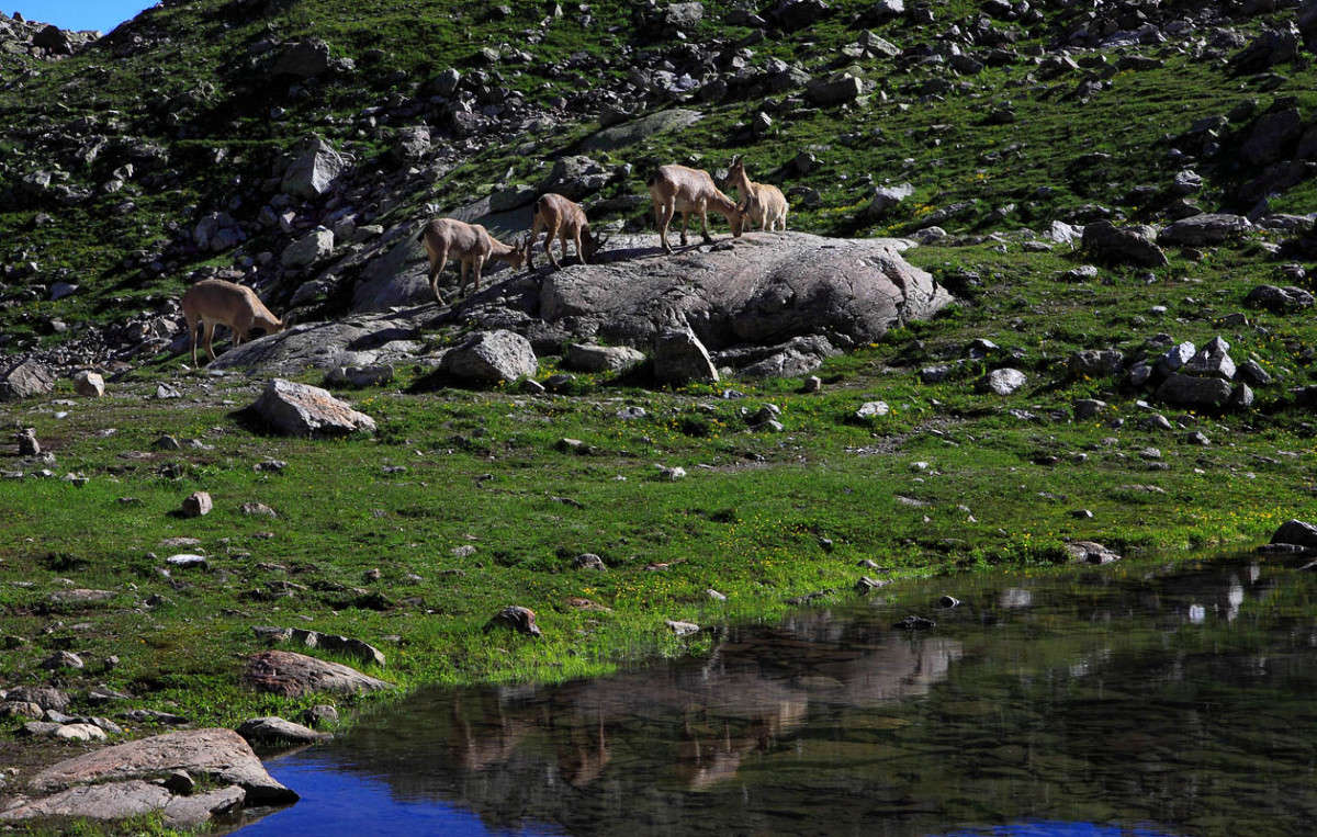 ���� � ����� ����� ������ �������� �� PhotoGeek.ru #�������� ��� #������ ��� �������