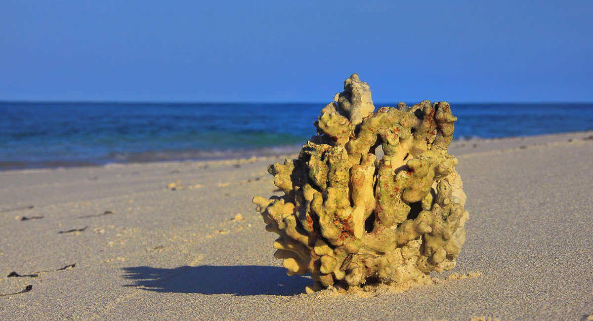 ���������� "�����" ����� ������ �������� �� PhotoGeek.ru #������ ��� ������� #�������� ����������