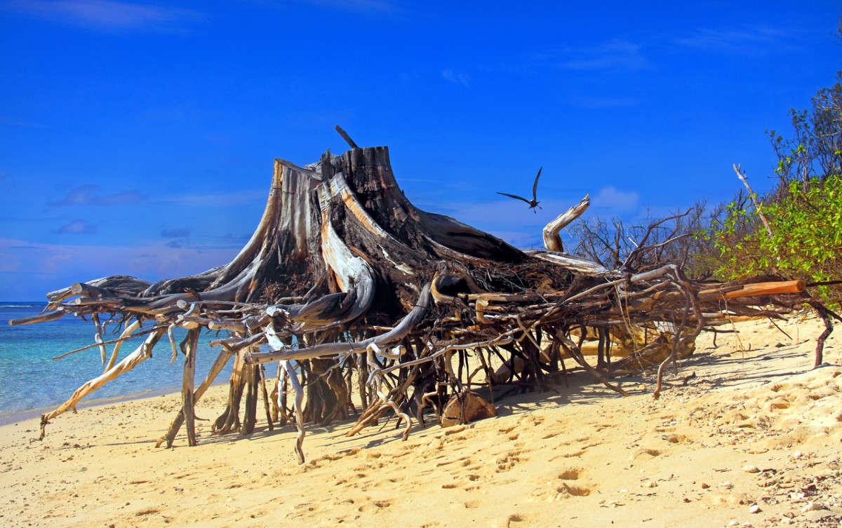 �� ������ ������ ����� ������ �������� �� PhotoGeek.ru #������ ��� �������