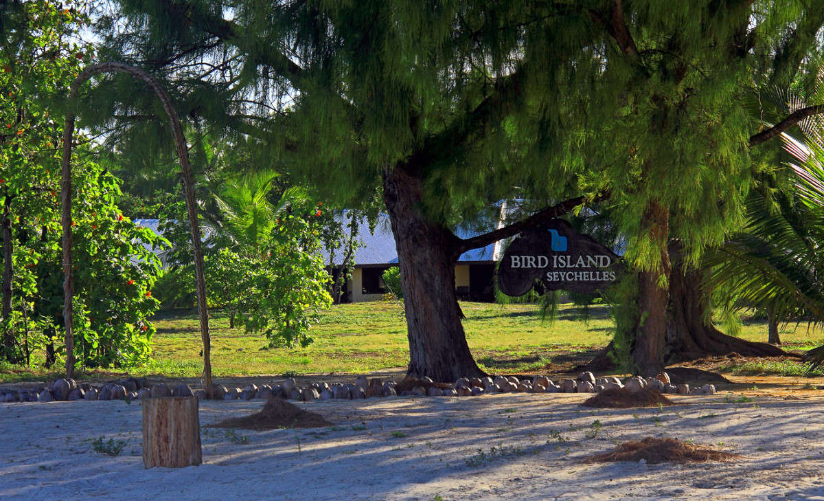 ������� ������� ���� ����� ������ �������� �� PhotoGeek.ru #������ ��� �������