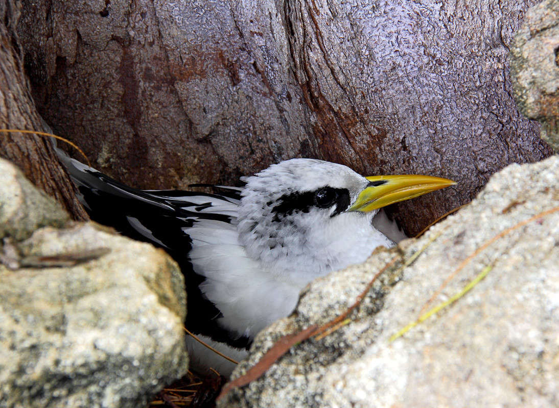 ������� ����� �� ������ ����� ������ �������� �� PhotoGeek.ru #�������� ���