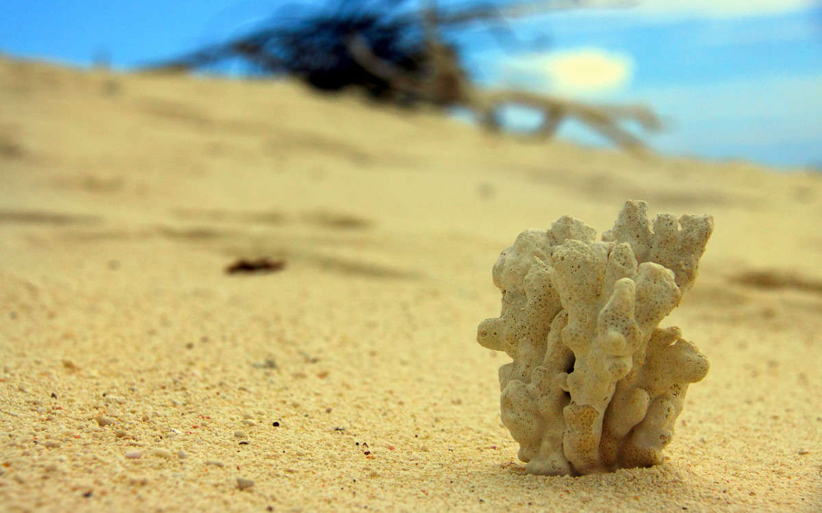 ���� � �����... ����� ������ �������� �� PhotoGeek.ru #�������� ���������� #�������������