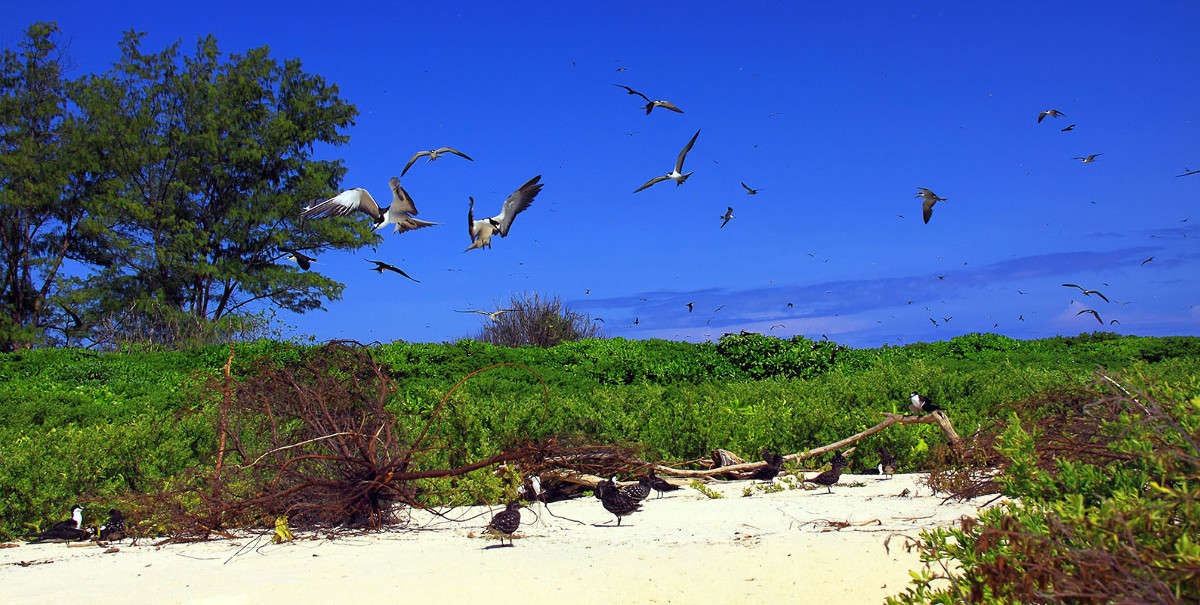 �����-����� ������ ����� ������ �������� �� PhotoGeek.ru #�������� ��� #������ ��� ������� #����� ��� ��� ���������