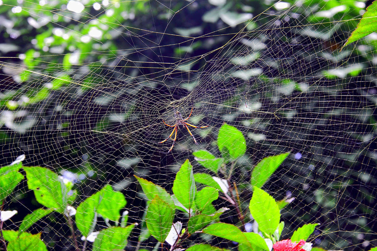 � �������� ����... ����� ������ �������� �� PhotoGeek.ru #�������� ���