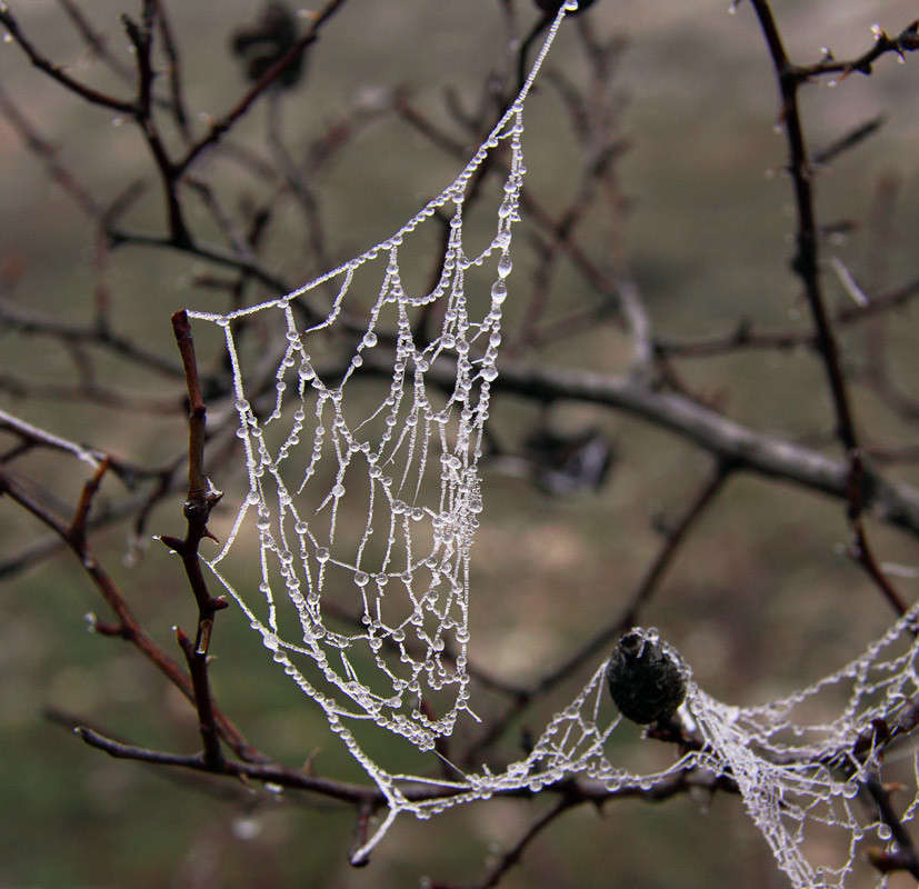 ������ ����� ������ �������� �� PhotoGeek.ru #������ ��� �������