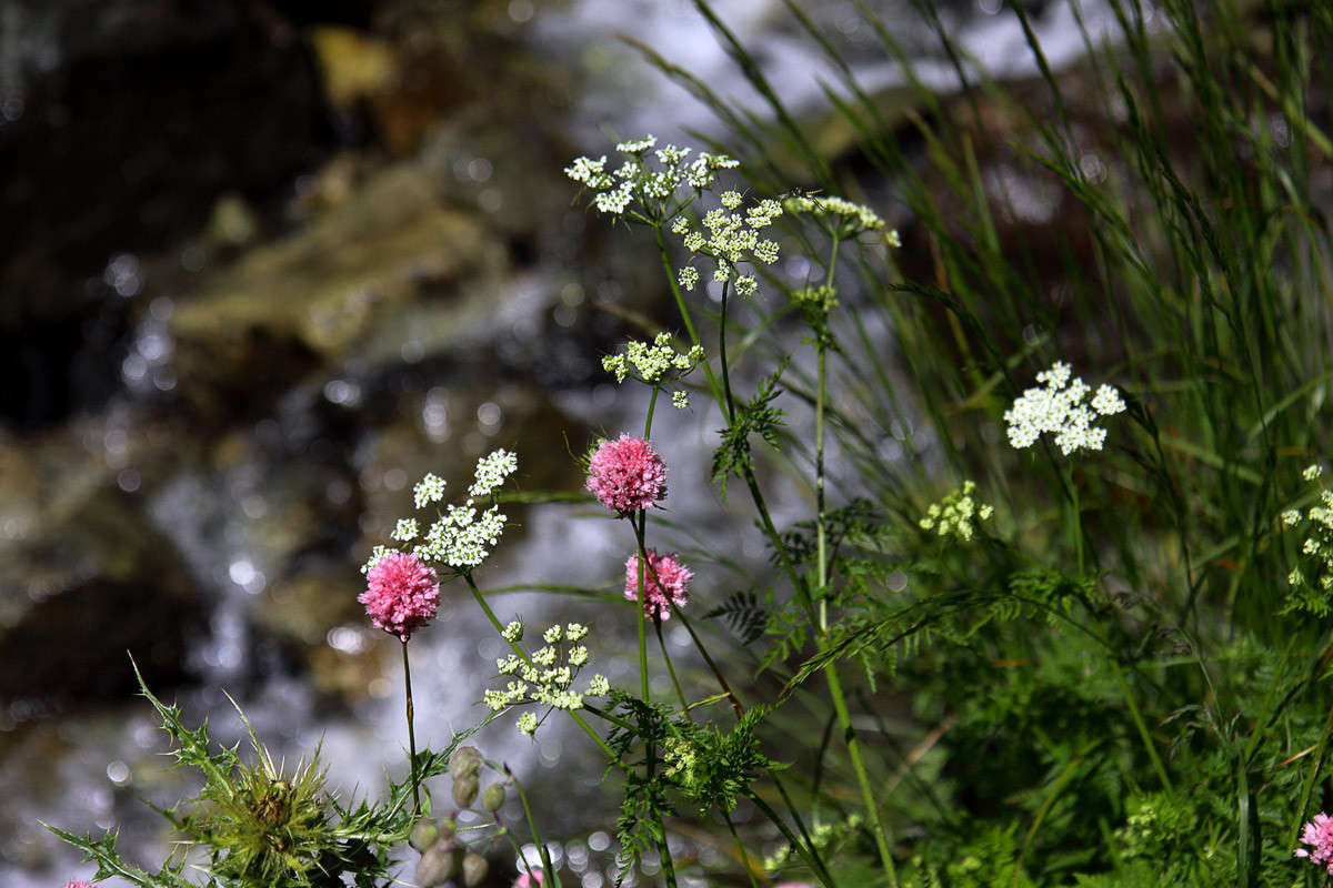 ����� � ����� ����� ������ �������� �� PhotoGeek.ru #������ ��� ������� #����� ��������������