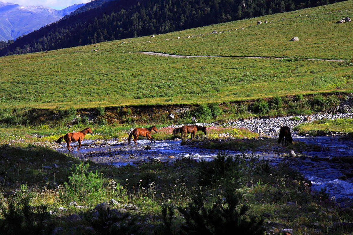 ��������� ����� ������ �������� �� PhotoGeek.ru #�������� ��� #������ ��� �������