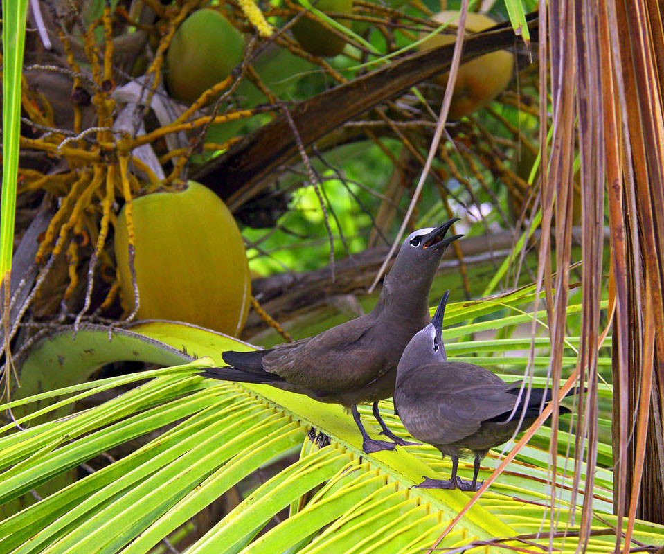 �������, ������� �� ������... ����� ������ �������� �� PhotoGeek.ru #�������� ��� #������ ��� �������