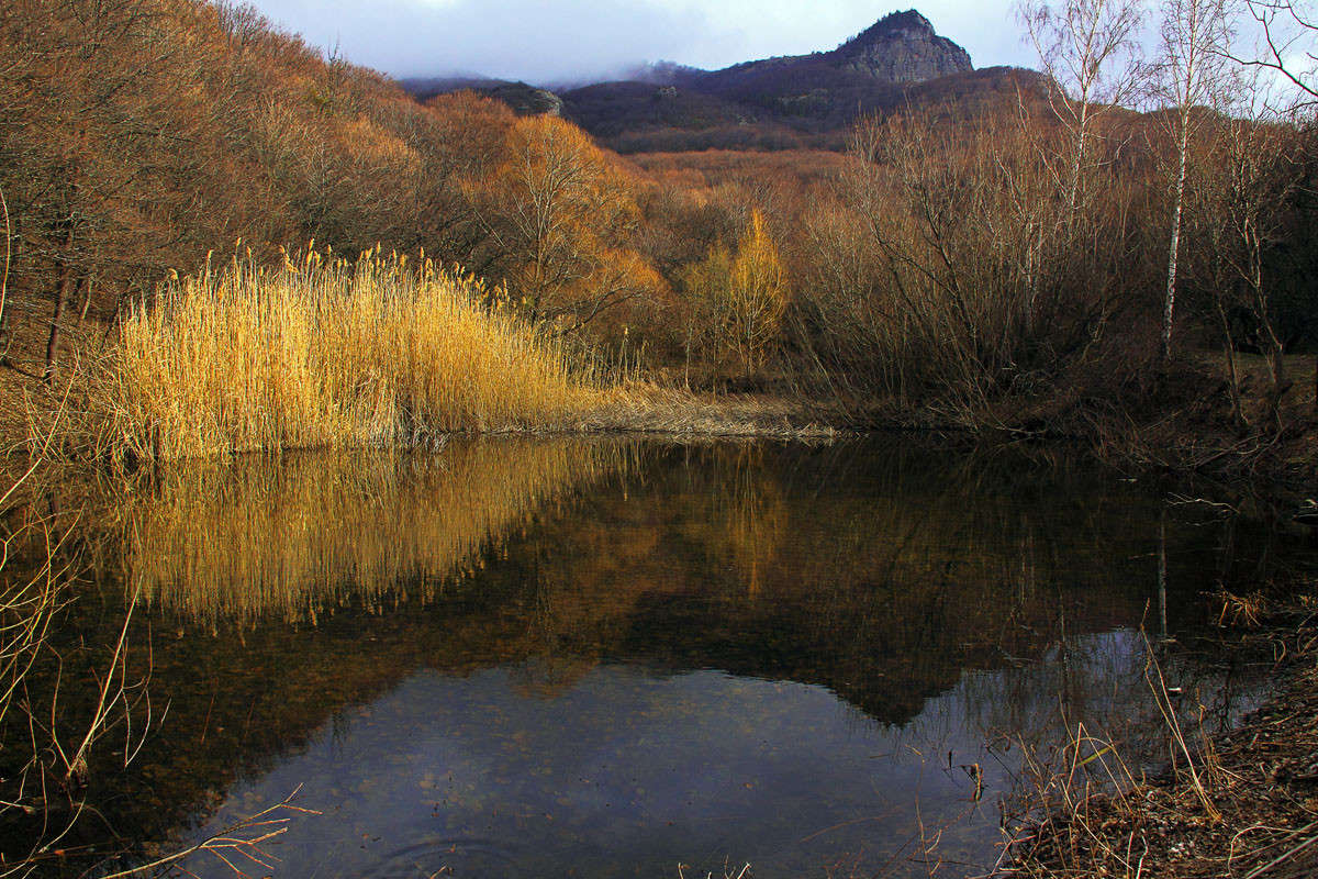 ������ ����� ����� ������ �������� �� PhotoGeek.ru #������ ��� �������