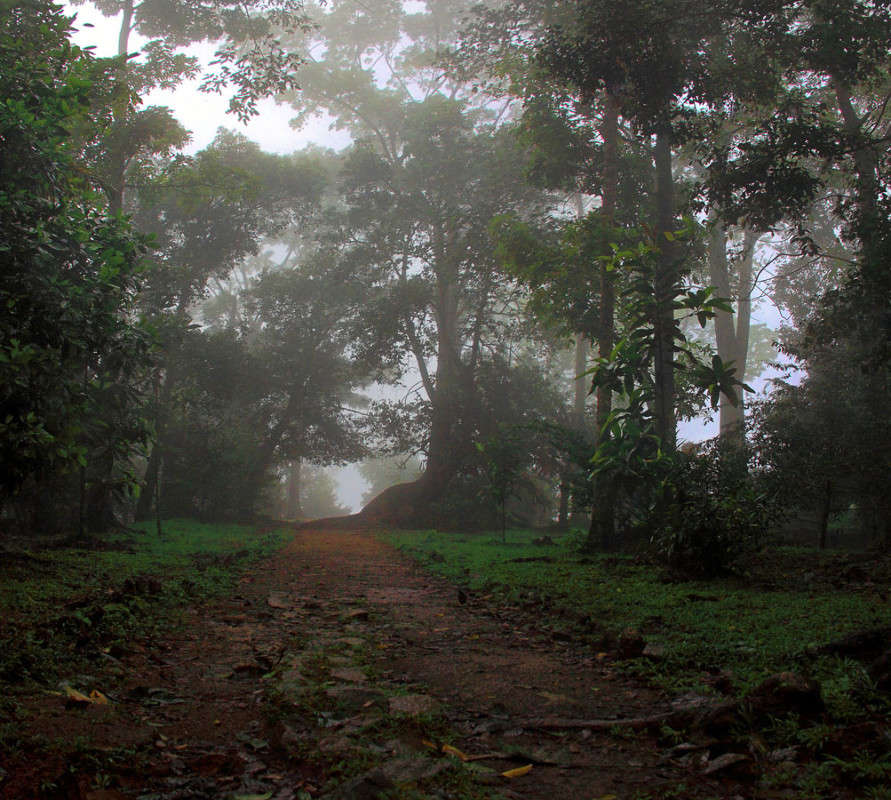 ����� ������� ����� ������ �������� �� PhotoGeek.ru #������ ��� ������� #����� ��������������