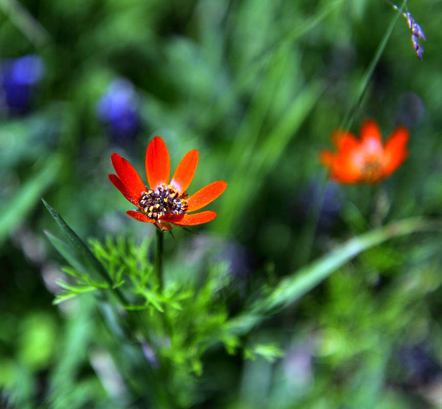 ������ ����� ������ �������� �� PhotoGeek.ru #������ ��� �������