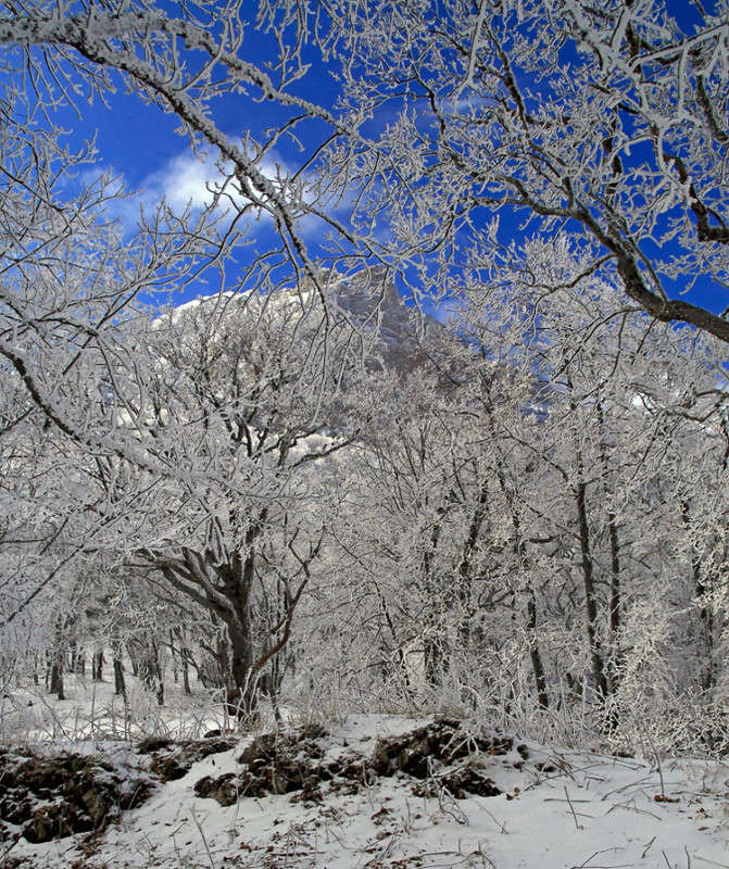 �������� ���� ����� ������ �������� �� PhotoGeek.ru #������ ��� �������