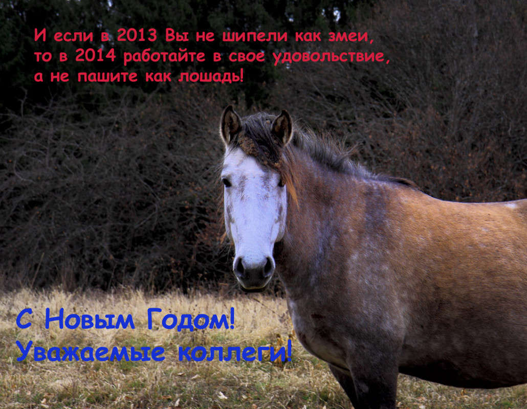 � ����� �����, ��������� ������ ����� ������ �������� �� PhotoGeek.ru #������ ��� ������� #�������� ����������