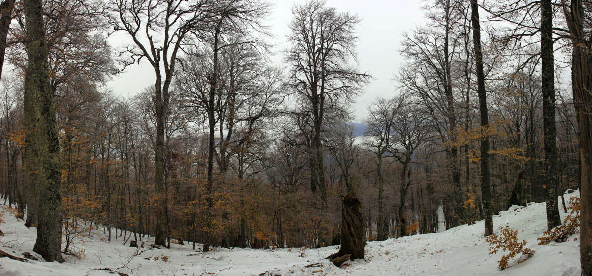 ������ �����-���� ����� ������ �������� �� PhotoGeek.ru #������ ��� ������� #����� �������������� #��������