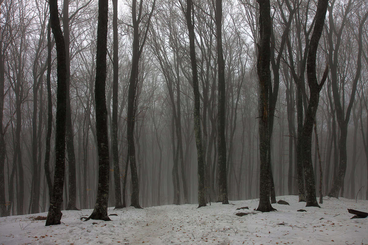 �������� ��� ����� ������ �������� �� PhotoGeek.ru #������ ��� ������� #����� ��������������