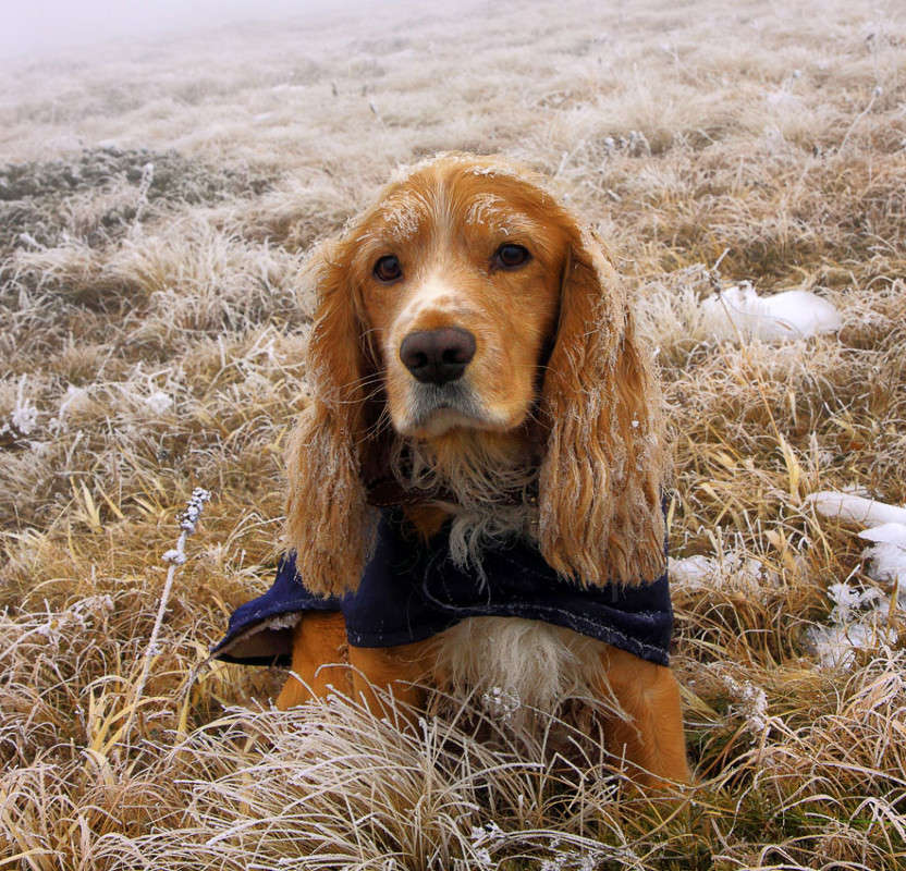 ���� ���������� ����� ������ �������� �� PhotoGeek.ru #�������� ��� #������ ��� �������