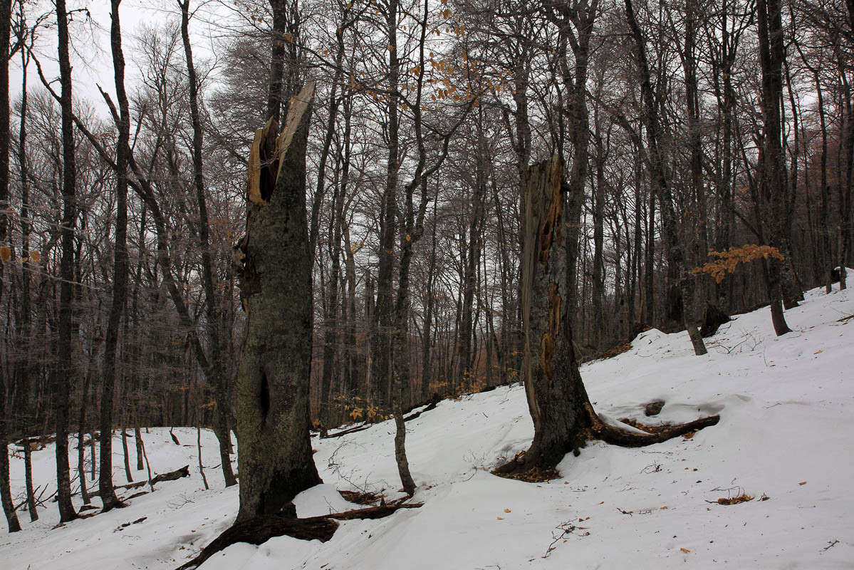 �� �������� ����� ������ �������� �� PhotoGeek.ru #������ ��� ������� #����� ��������������