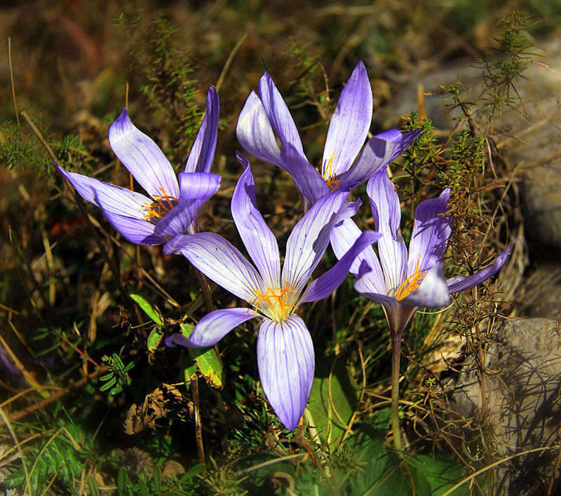 ������ ���������� ������� ����� ������ �������� �� PhotoGeek.ru #������ ��� ������� #����� ��������������