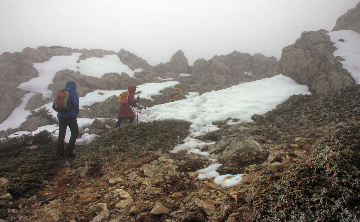 � �������� ������� ����� ������ �������� �� PhotoGeek.ru #������ ��� ������� #�������� ���������� #���������������