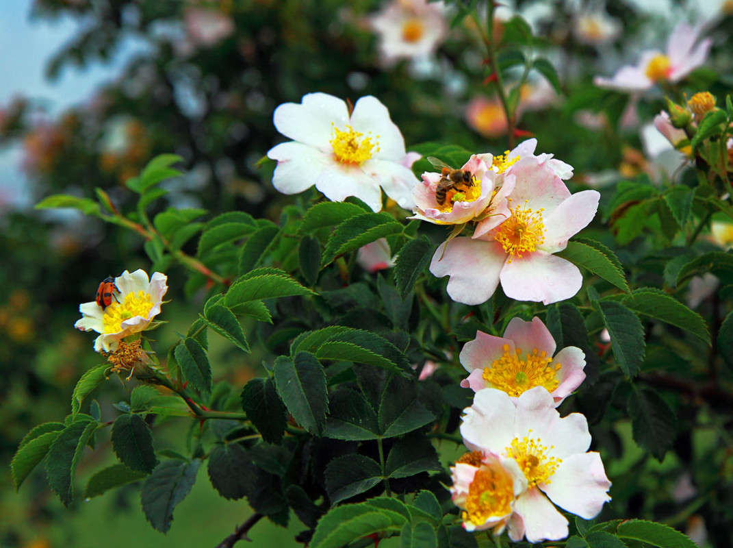 � ������� �������� ����� ������ �������� �� PhotoGeek.ru #������ ��� ������� #����� ��������������