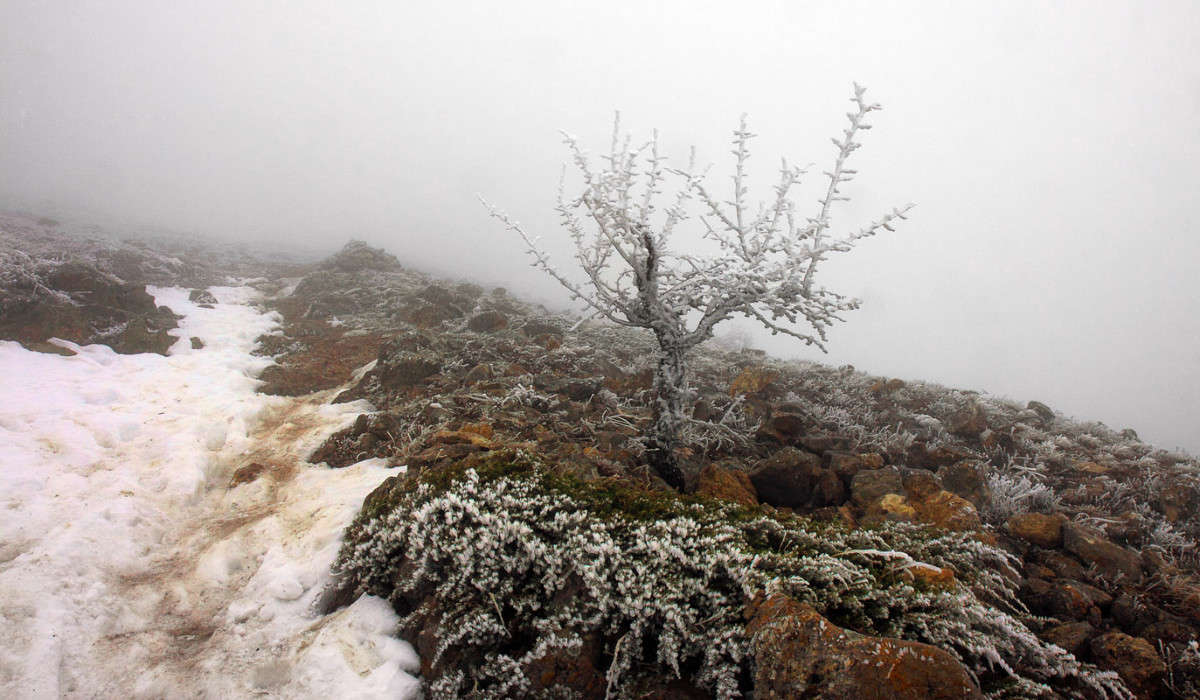 ����� �� ������� ����� ����� ������ �������� �� PhotoGeek.ru #������ ��� �������