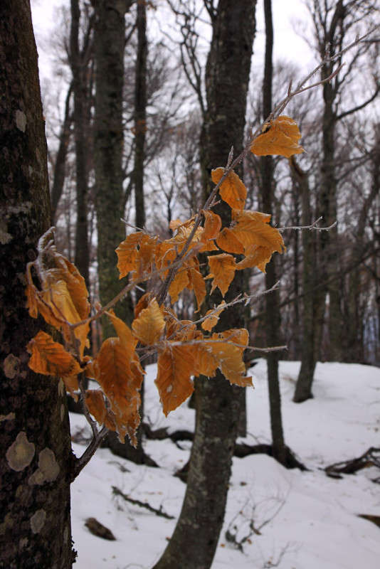 ������������� ����� ���� ����� ������ �������� �� PhotoGeek.ru #������ ��� ������� #����� ��������������