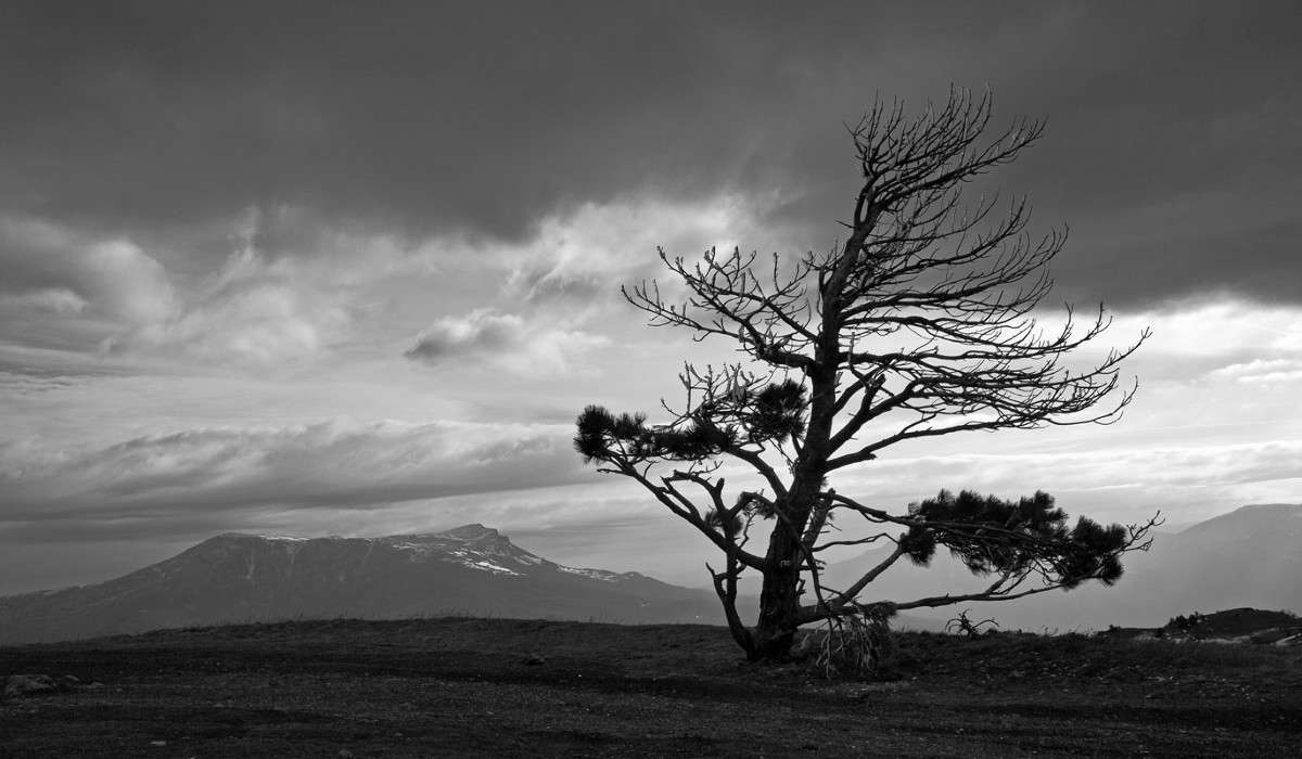 �������� ����� ����� ������ �������� �� PhotoGeek.ru #������ ��� ������� #����� �������������� #�����-�����