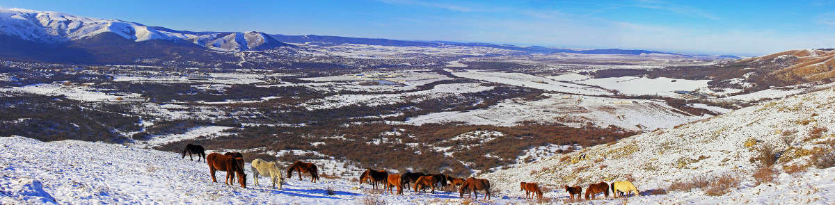 ����� ����� ������ �������� �� PhotoGeek.ru #�������� ��� #������ ��� �������