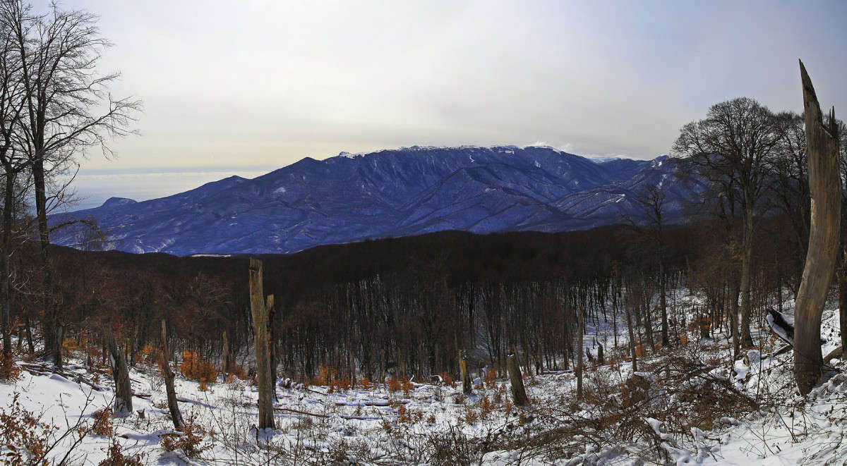 ��������� ����� ������ �������� �� PhotoGeek.ru #������ ��� ������� #��������