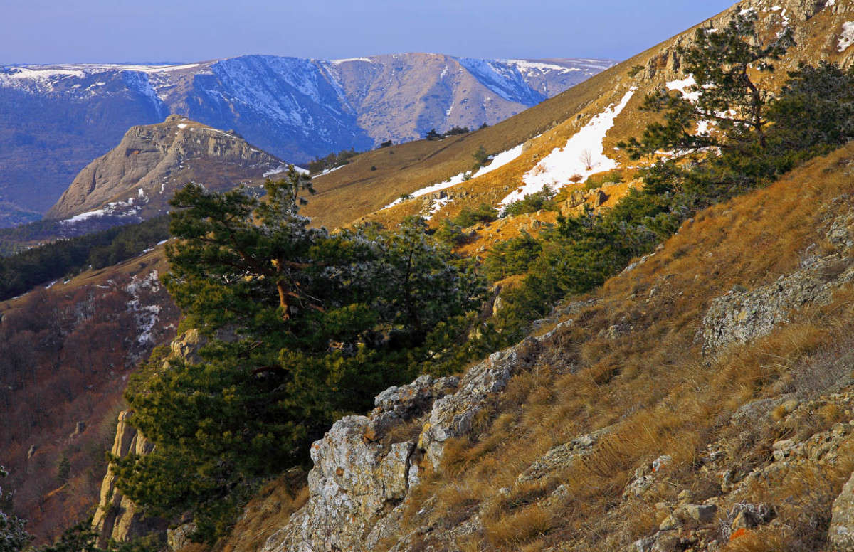 ������ ��������� �������� ����� ������ �������� �� PhotoGeek.ru #������ ��� �������