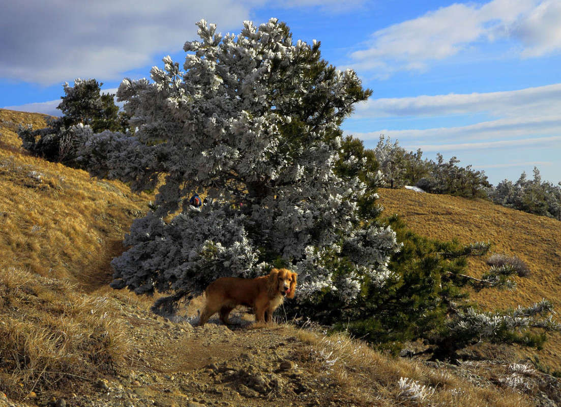 ����� � ��� ����� ������ �������� �� PhotoGeek.ru #�������� ��� #������ ��� ������� #����� ��������������