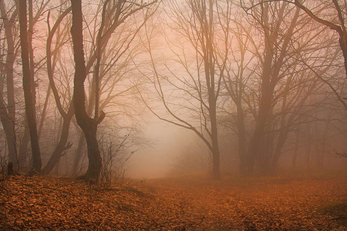 ������� ����� ����� ������ �������� �� PhotoGeek.ru #������ ��� �������