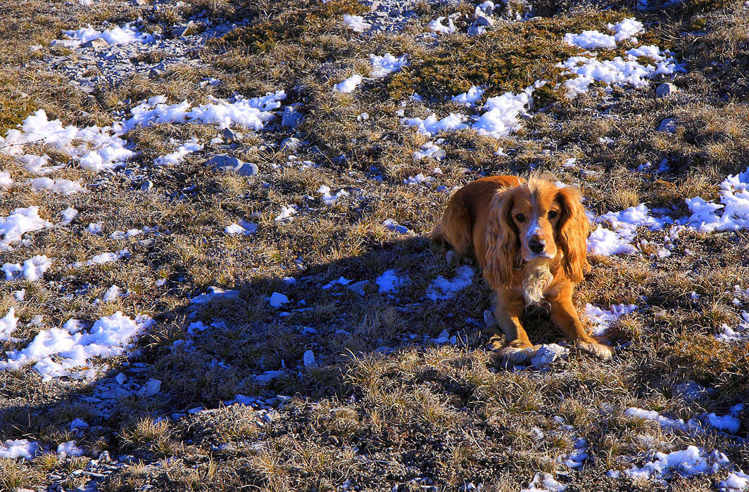 � �� ���������� �� ��� ... ����� ������ �������� �� PhotoGeek.ru #�������� ���