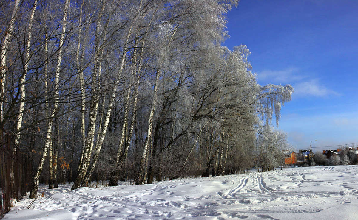 ������ ����� ������ �������� �� PhotoGeek.ru #������ ��� ������� #��������