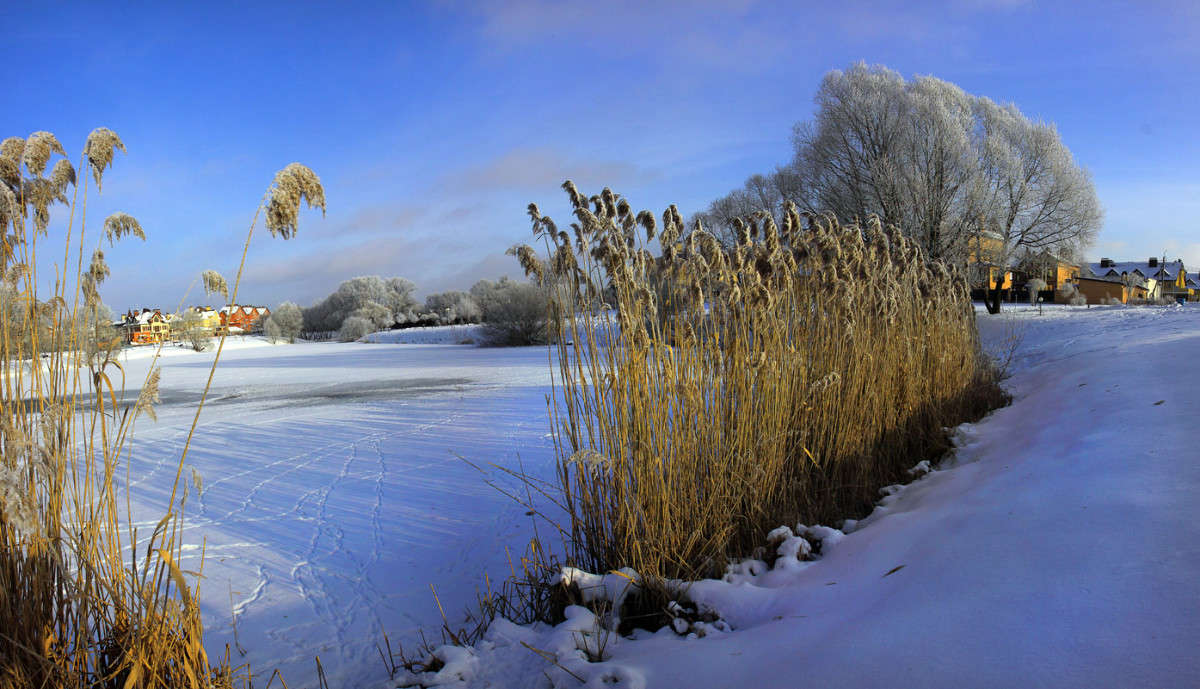 ������ ���� ����� ������ �������� �� PhotoGeek.ru #������ ��� ������� #��������